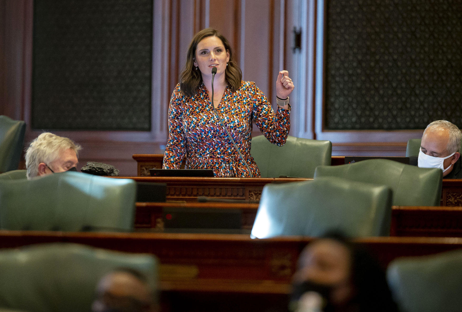 Illinois Legislature